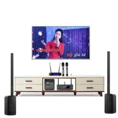 Bộ dàn karaoke Bose L1 Pro16 cao cấp TVA 130 - Thumb 1