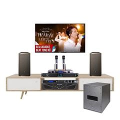 Bộ Dàn Karaoke JBL Desire Pro D-Mini Cao Cấp TVA812026