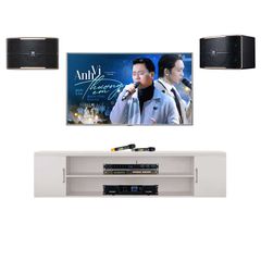 Bộ Dàn Karaoke JBL Pasion 12 TVA1252023 - Thumb 1