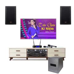 Dàn karaoke cao cấp Klipsch Pro TVA 108 - Thumb 1