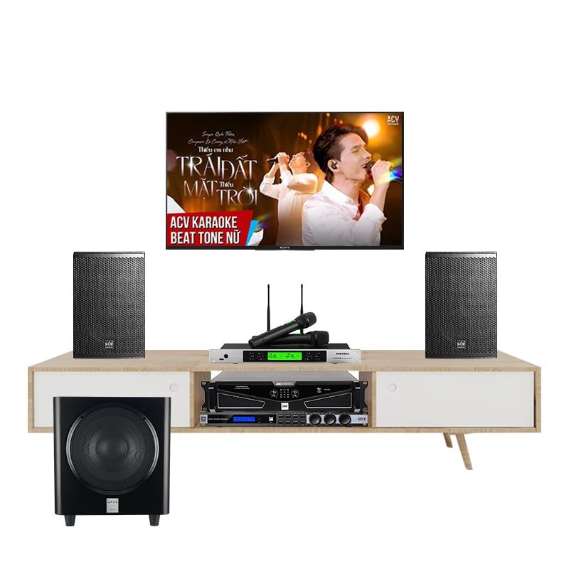 Bộ Dàn Karaoke SE Audiotechnik COX8MKII TVA892026 - Hình 1