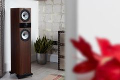 Bộ Dàn Nghe Nhạc Fyne Audio F303i NN732026 - Thumb 4