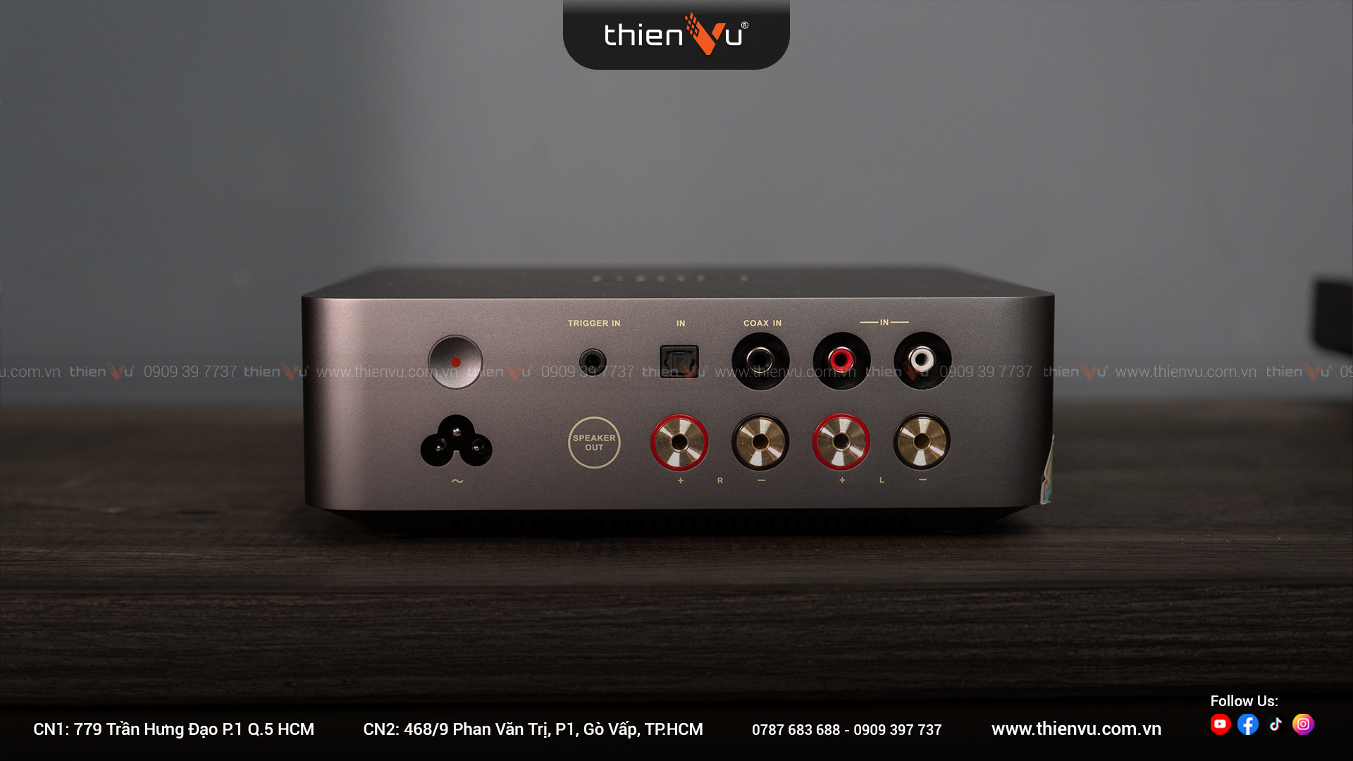 Amply Tích Hợp DAC Wiim Vibelink Amp - Hình 9