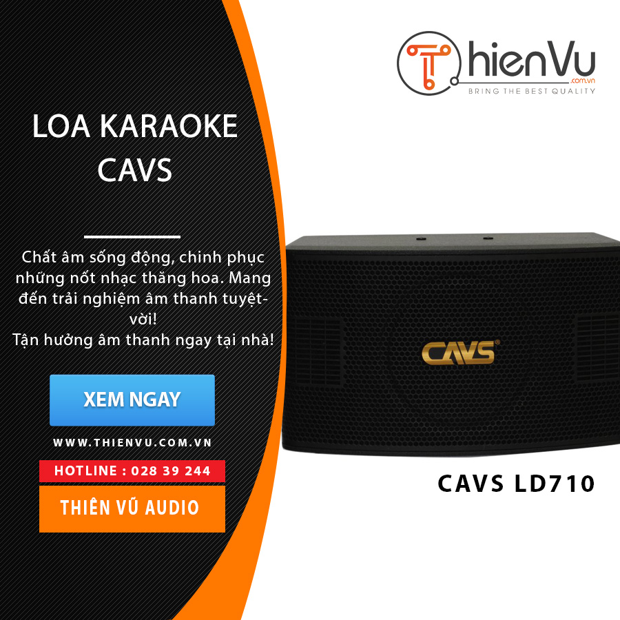 Loa karaoke CAVS LD-710 chính hãng - Hình 1