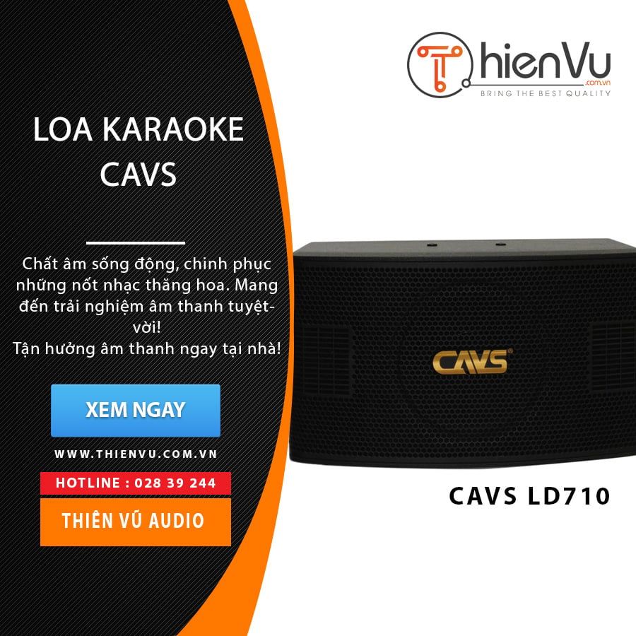 Loa karaoke CAVS LD-710 chính hãng - Hình 1