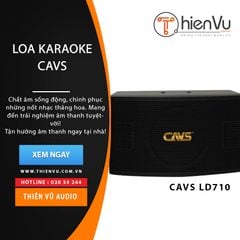 Loa karaoke CAVS LD-710 chính hãng - Thumb 1