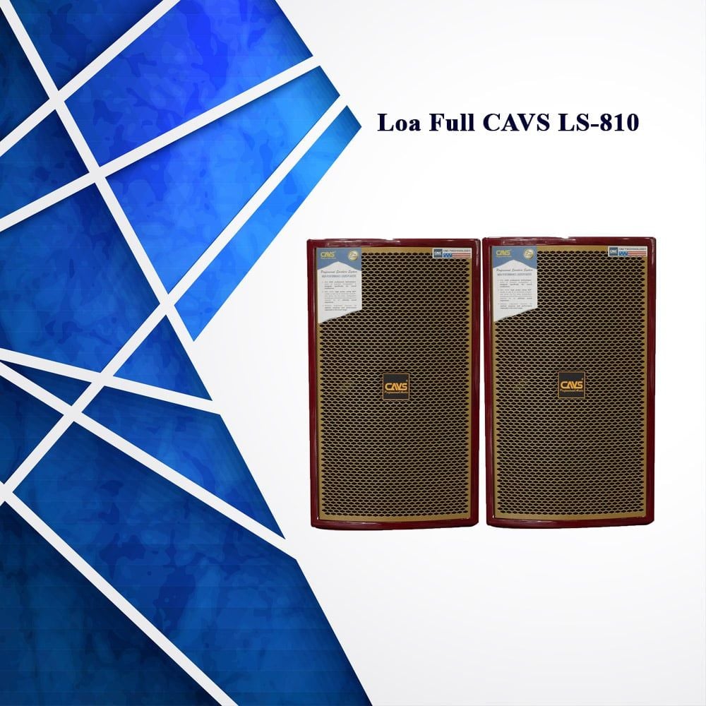 Loa karaoke CAVS LS-810 chính hãng - Hình 1