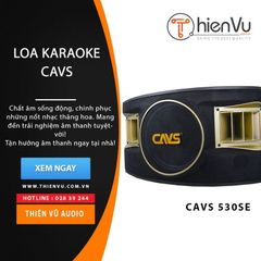 Loa karaoke CAVS 530SE chính hãng