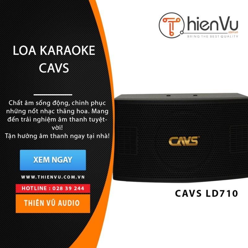 Loa karaoke CAVS LD-710 chính hãng - Hình 2