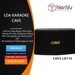 Loa karaoke CAVS LD-710 chính hãng - Thumb 2