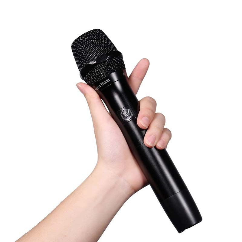 Micro Không Dây Alpha Works D2 Mới Nhất - Hình 8