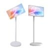 Màn Hình Cảm Ứng Di Động 22inch Tomko GoWithMe P2152J-MA - Thumb 3