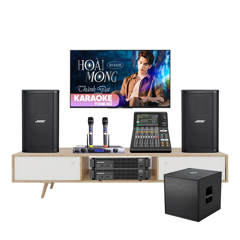 Dàn âm thanh karaoke Bose Showtime SK12 TVA892025 - Hình 1
