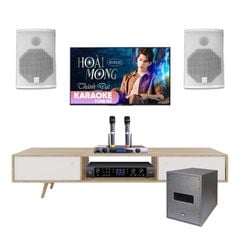 Dàn Loa Karaoke SE Audiotechnik COX8W TVA472025