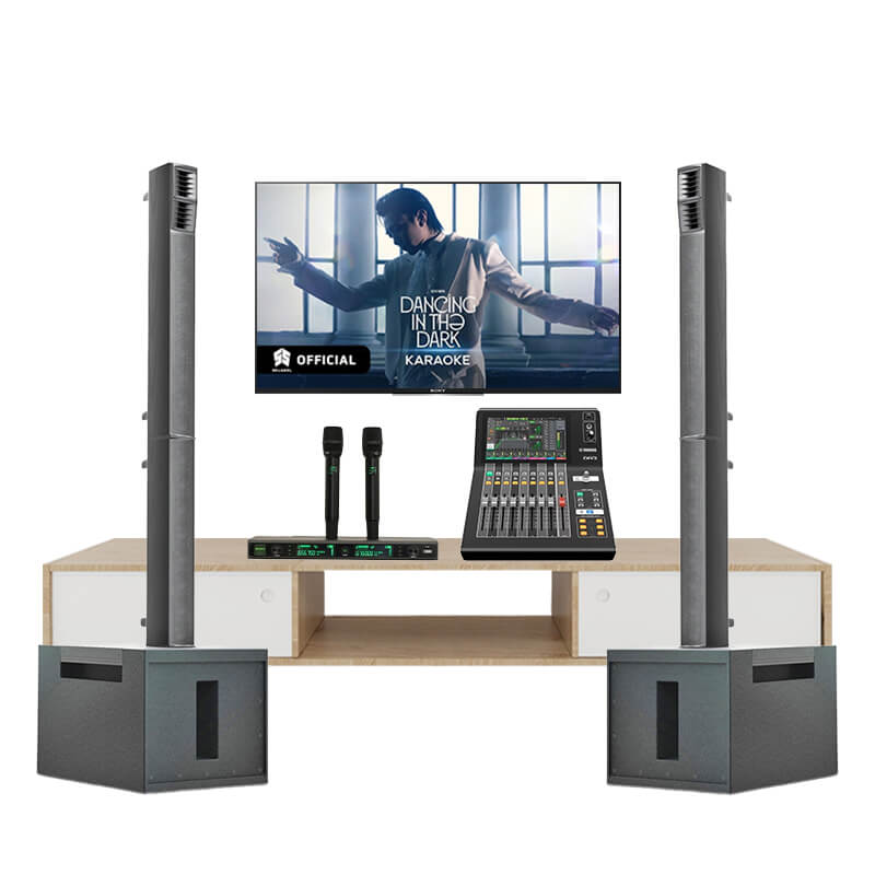 Dàn Karaoke Cao Cấp SE Audiotechnik M-A8 TVA712025 - Hình 1