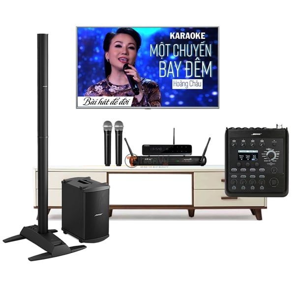 Dàn karaoke chuyên nghiệp loa Bose TVA 22 - Hình 1
