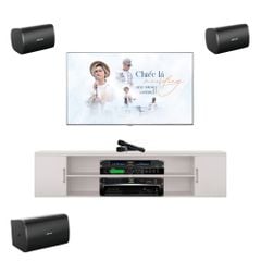 Dàn Karaoke Cao Cấp Bose Designmax DM8S TVA302023 - Thumb 1
