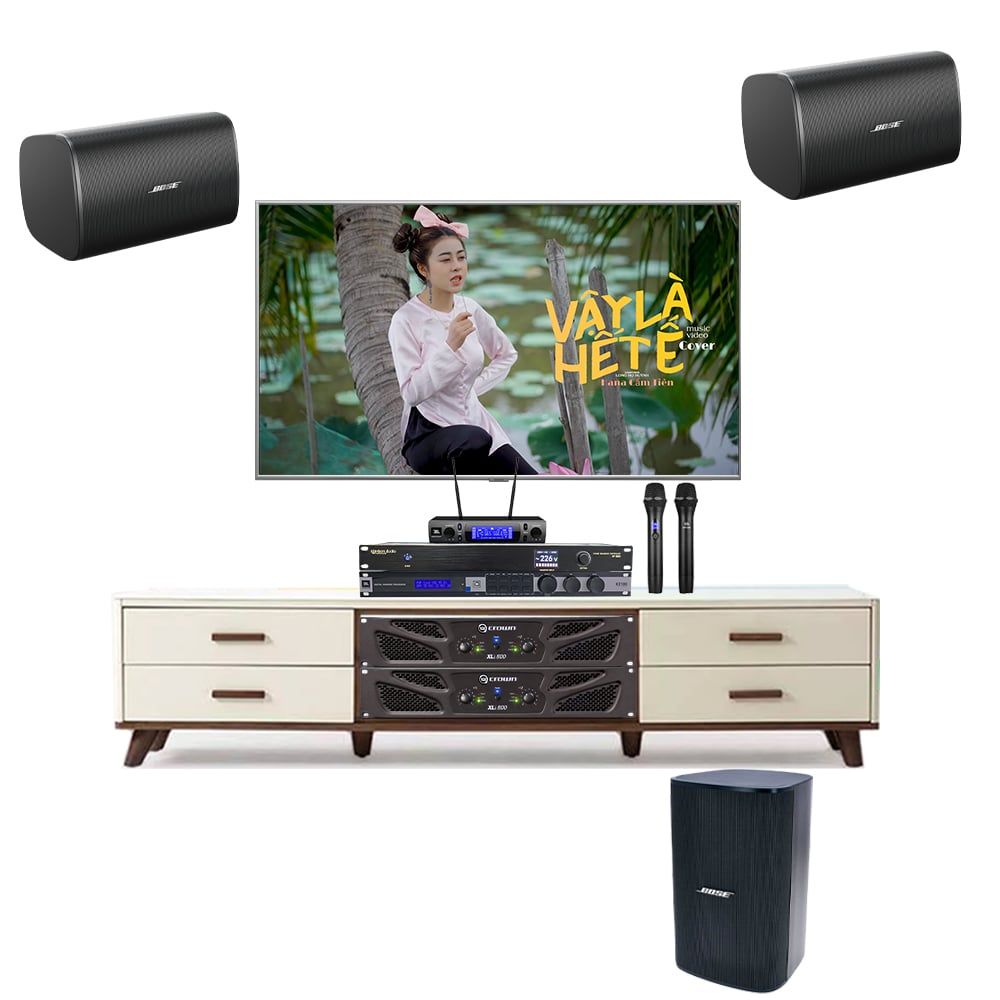 Dàn karaoke cao cấp Bose Designmax DM8S TVA 582022 - Hình 1