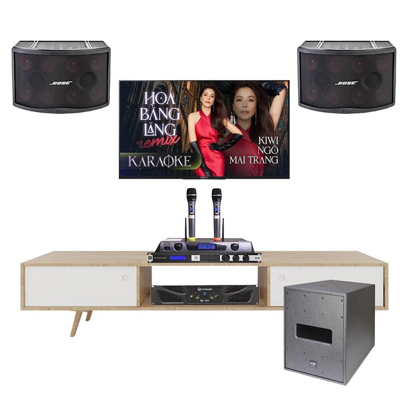 Dàn Karaoke Cao Cấp Bose 802 Series 5 TVA082025 - Hình 1