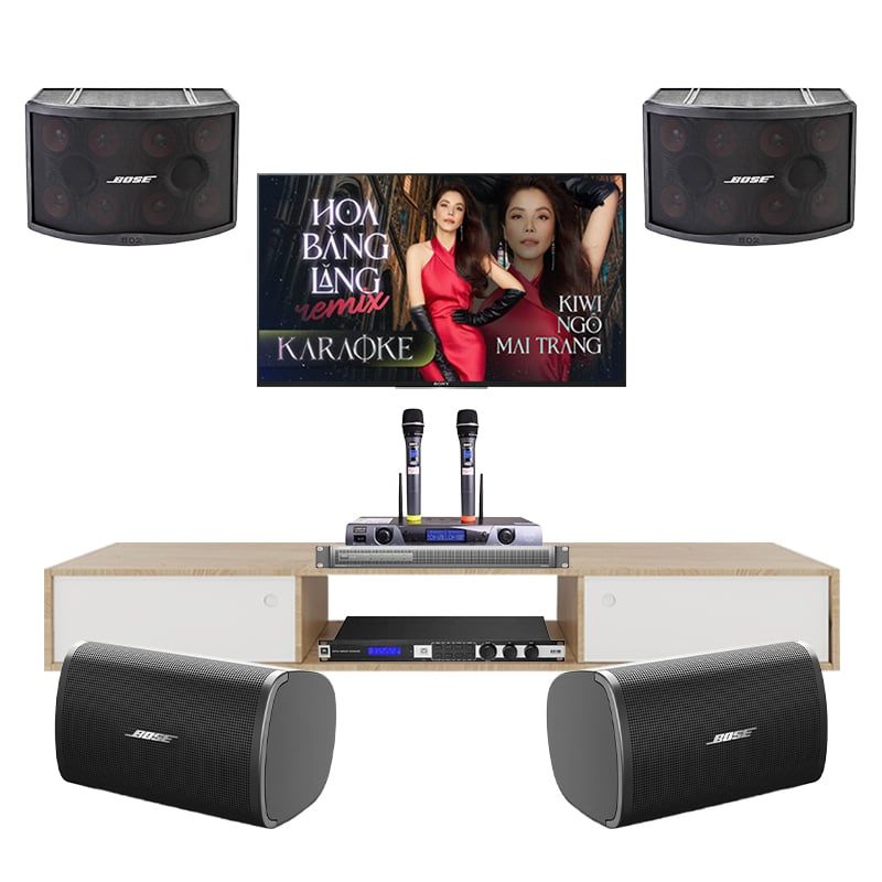 Dàn Karaoke Cao Cấp Bose 802 Series 5 TVA102025 - Hình 1