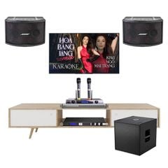 Dàn Karaoke Cao Cấp Bose 802 Series 5 TVA112025 - Thumb 1