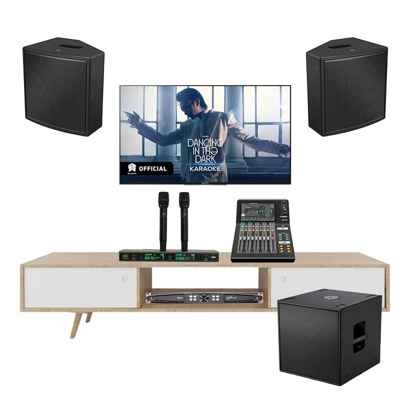 Dàn Karaoke Cao Cấp Bose AMM108 Multipurpose TVA522025 - Hình 1