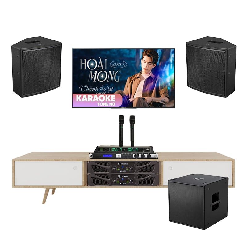 Dàn Karaoke Cao Cấp Bose AMM108 TVA422025 - Hình 1