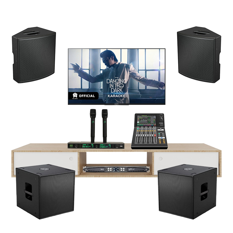 Dàn Karaoke Cao Cấp Bose AMM112 TVA572025 - Hình 1