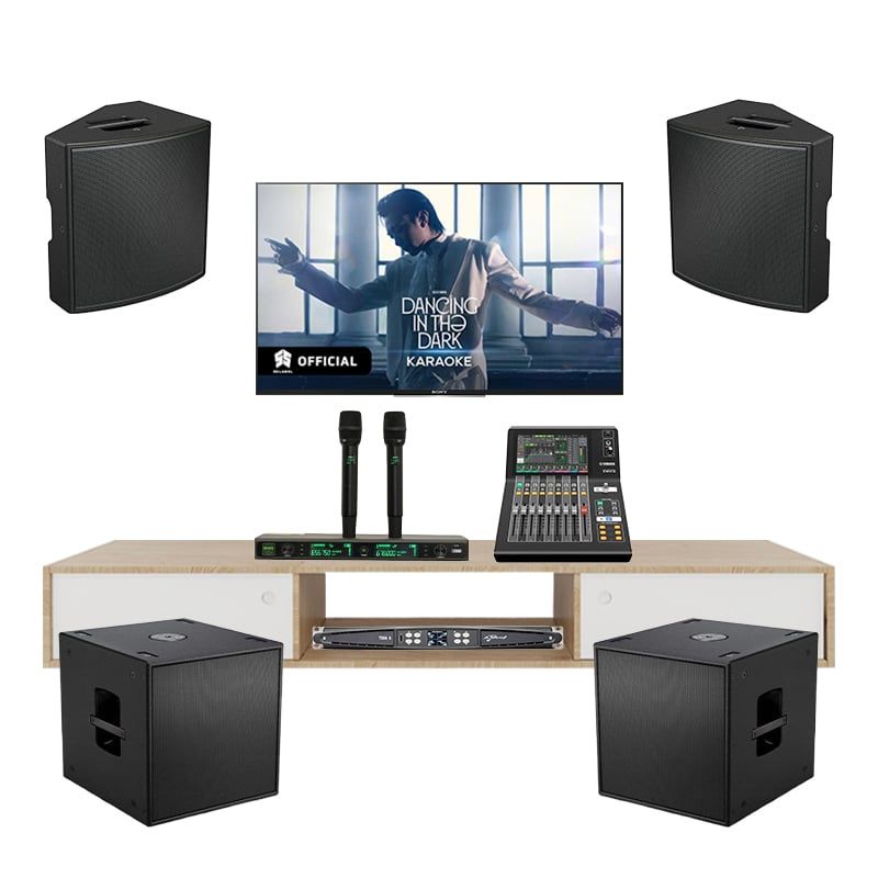 Dàn Karaoke Cao Cấp Bose AMM112 TVA572025 - Hình 1