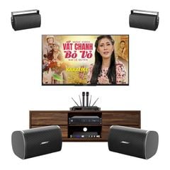 Dàn Loa Karaoke Bose AMU 108 TVA1332024 Cao Cấp