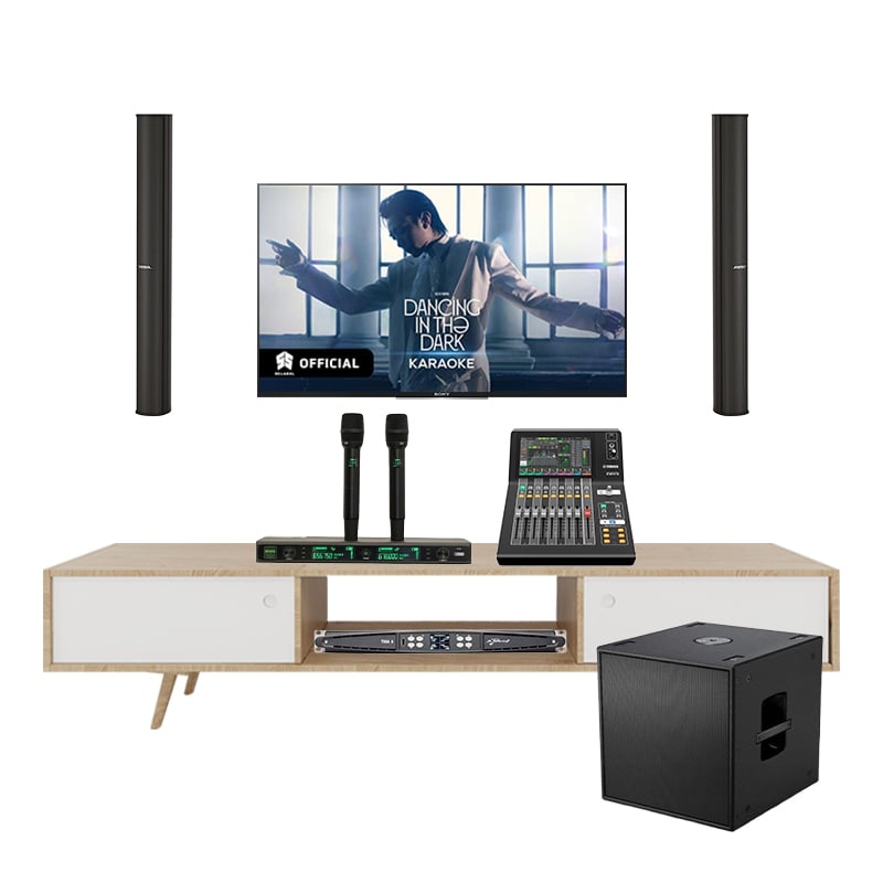 Dàn Karaoke Cao Cấp Bose Panaray MA12EX TVA542025 - Hình 1