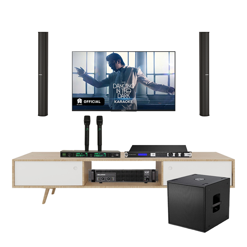 Dàn Karaoke Cao Cấp Bose Panaray MA12EX TVA582025 - Hình 1