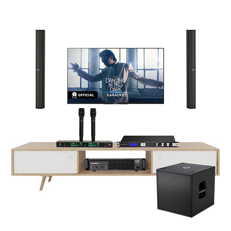 Dàn Karaoke Cao Cấp Bose Panaray MA12EX TVA582025 - Hình 1
