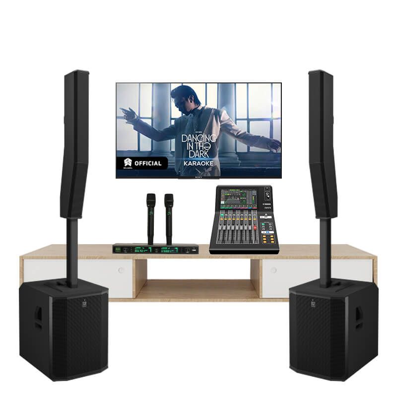 Dàn Karaoke Cao Cấp Electrovoice Evolve 90 TVA802025 - Hình 1