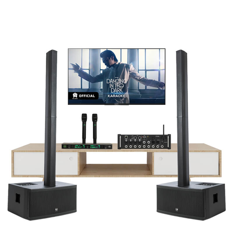Dàn Karaoke Cao Cấp SE Audiotechnik C6 TVA672025 - Hình 1