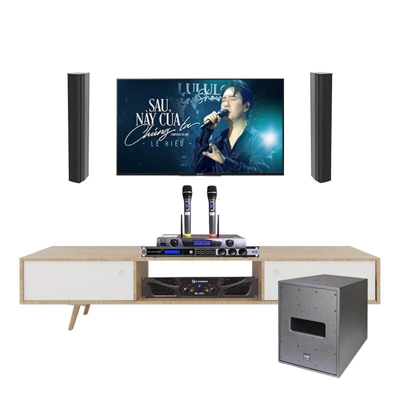 Dàn Karaoke Cao Cấp SE Audiotechnik IC38X TVA382026 - Hình 1