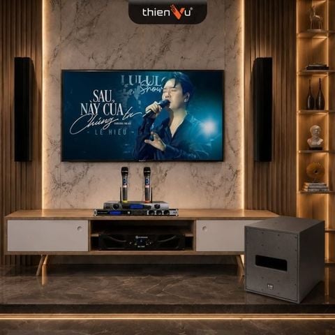 Dàn Karaoke Cao Cấp SE Audiotechnik IC38X TVA382026