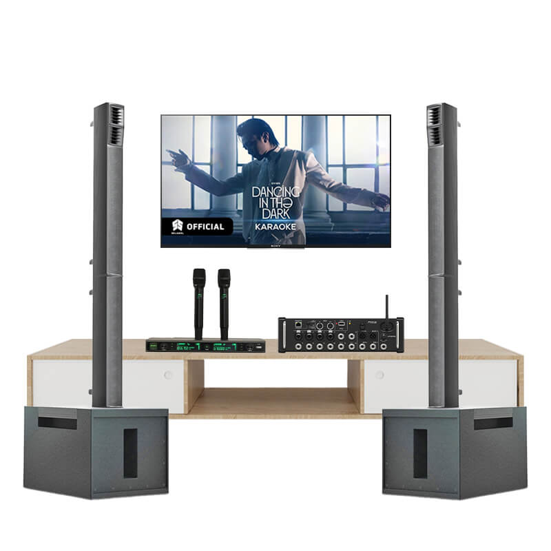 Dàn Karaoke Cao Cấp SE Audiotechnik M-A8 TVA702025 - Hình 1