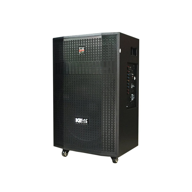 Loa karaoke di động Acnos CB501G chính hãng - Hình 2