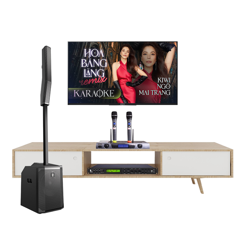 Dàn Karaoke Electrovoice Evolve 50 TVA1732024 - Hình 1