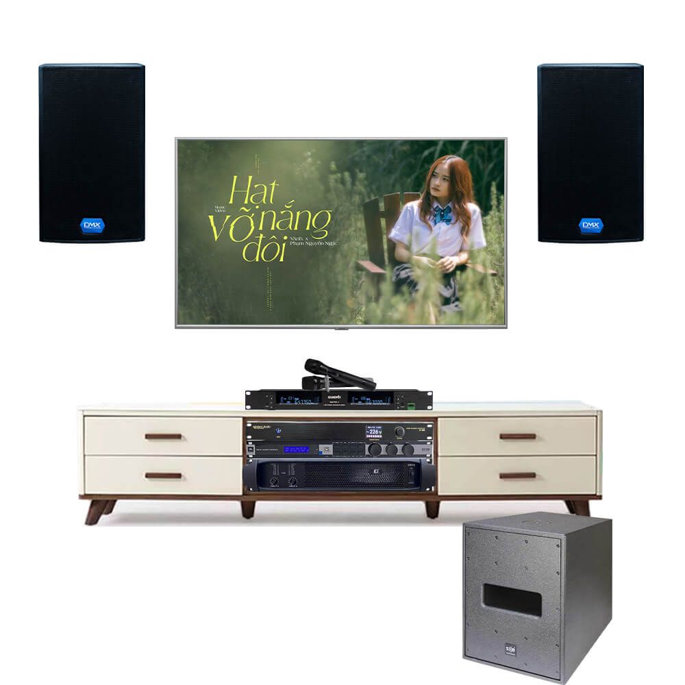 Dàn Karaoke Gia Đình DMX ES-10 Hiện Đại TVA682022 - Hình 1