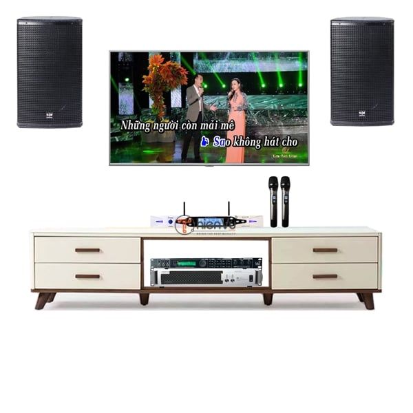 Bộ dàn karaoke gia đình TVA 51 - Hình 1