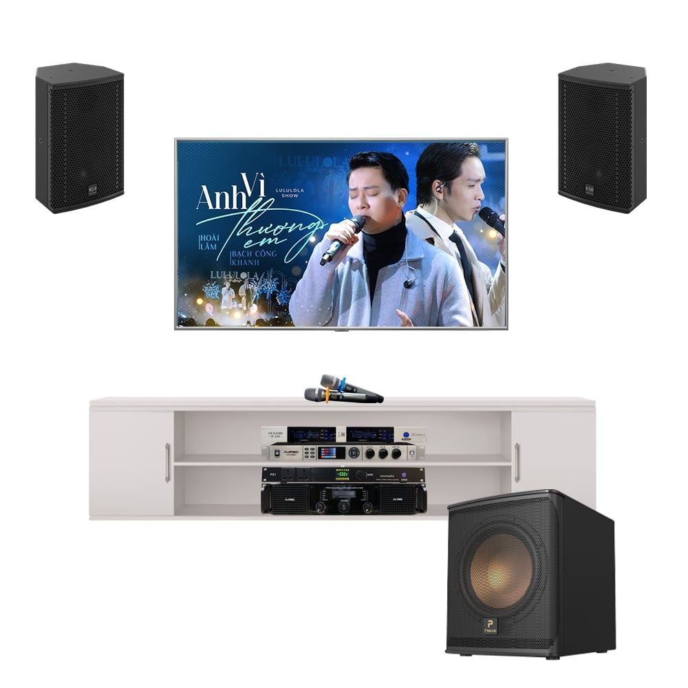 Dàn Loa Karaoke SE Audiotechnik Cox 8 MK II TVA 492023 - Hình 1