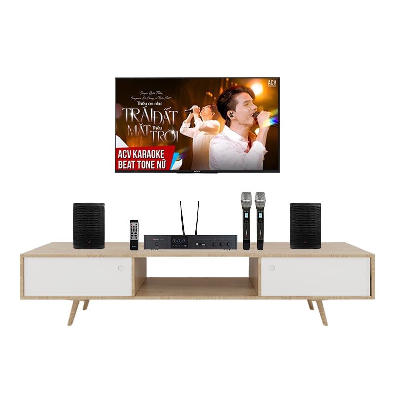 Dàn Loa Karaoke Gia Đình Sumico CO65 TVA352026 - Hình 1