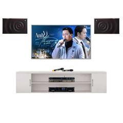 Dàn Loa Karaoke JBL MK 12 TVA1312023