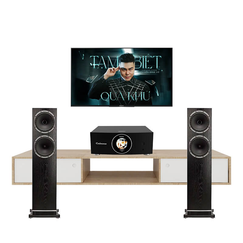 Dàn Nghe Nhạc Fyne Audio F502 205TV Chính Hãng - Hình 1