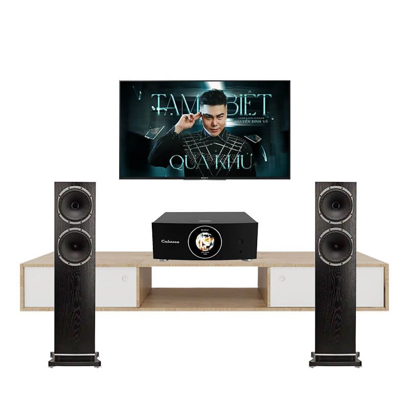 Dàn Nghe Nhạc Fyne Audio F502 205TV Chính Hãng - Hình 1