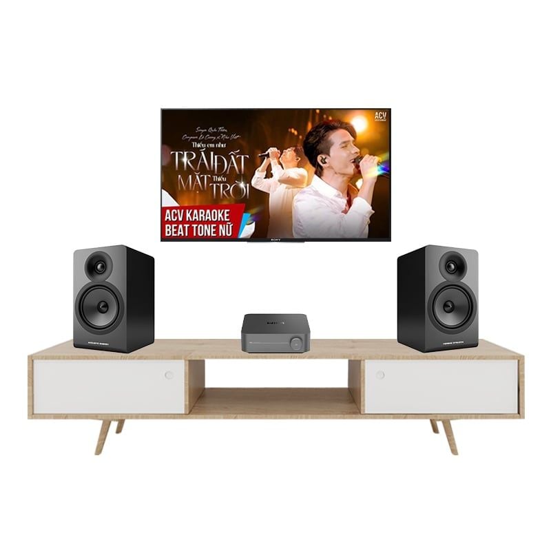 Dàn Nghe Nhạc Hay Acoustic Energy AE100 II - Wiim Amp Pro NN862026 Chính Hãng - Hình 1