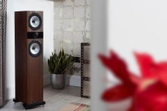 Dàn Nghe Nhạc Hay Fyne Audio F303i NN952026 - Thumb 2