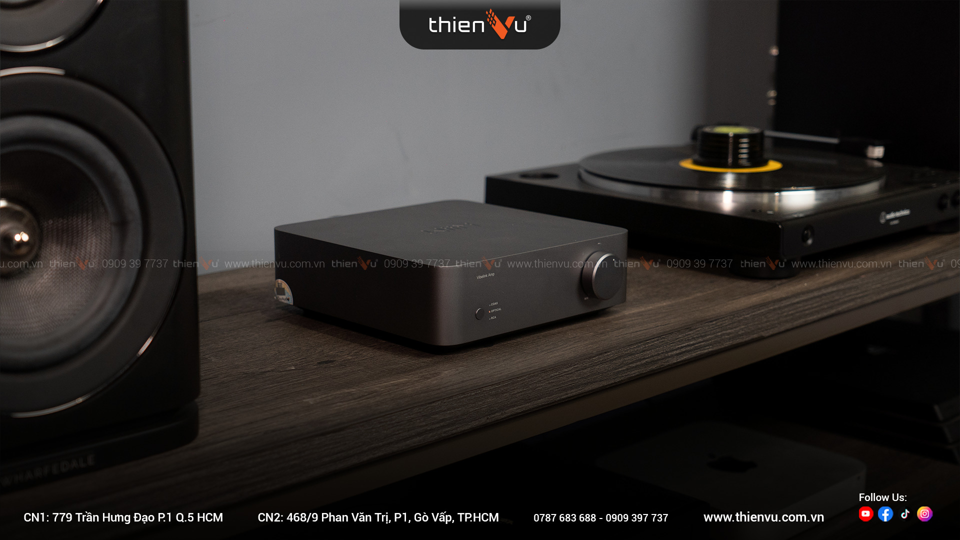 Amply Tích Hợp DAC Wiim Vibelink Amp - Hình 6